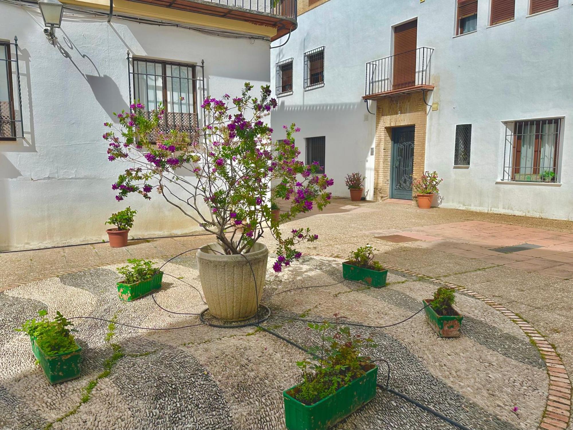 Ferienwohnung La Sacristia De San Pablo Córdoba Exterior foto